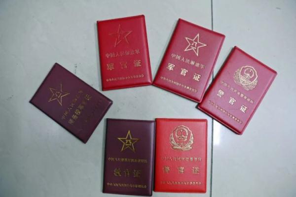 mg网络娱乐